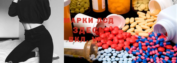 шишки Алзамай