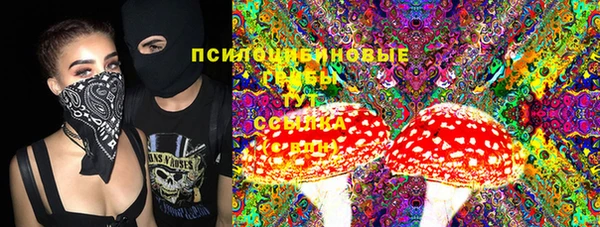 шишки Алзамай