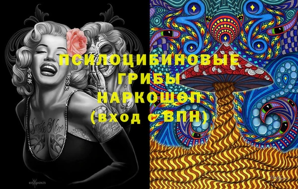 шишки Алзамай